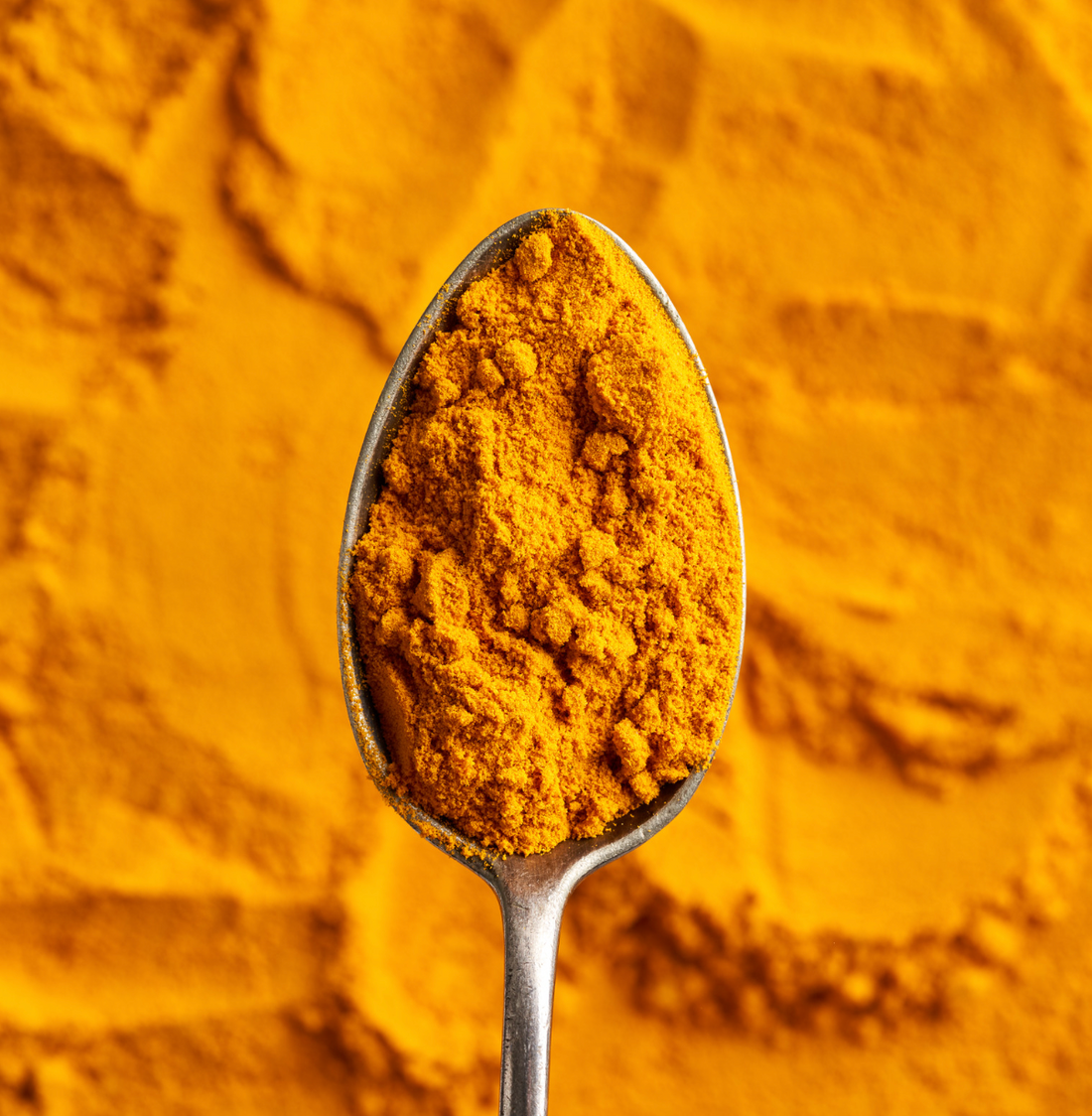 The Power of Turmeric for Pet Health