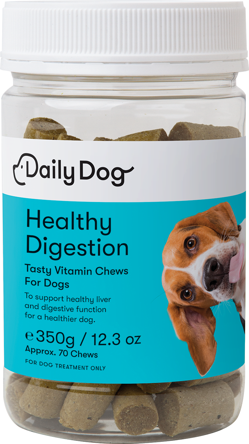 Healthy Digestion