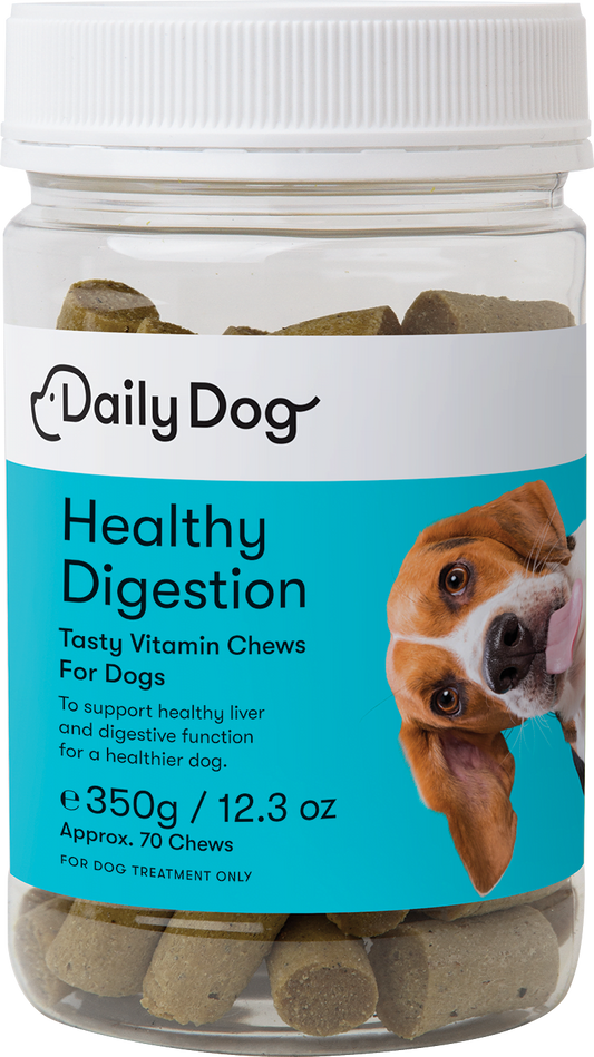 Healthy Digestion